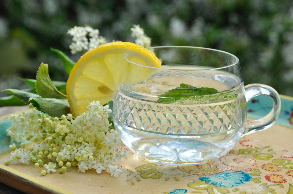 Infusión a base de las flores del saúco