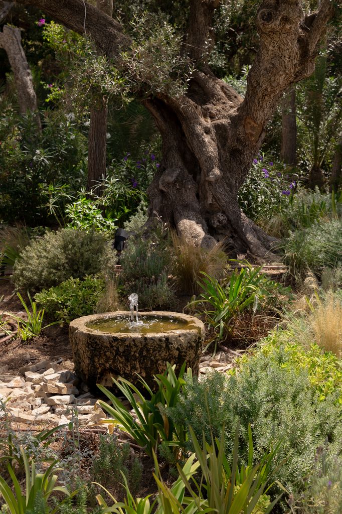 Jardín con fuente