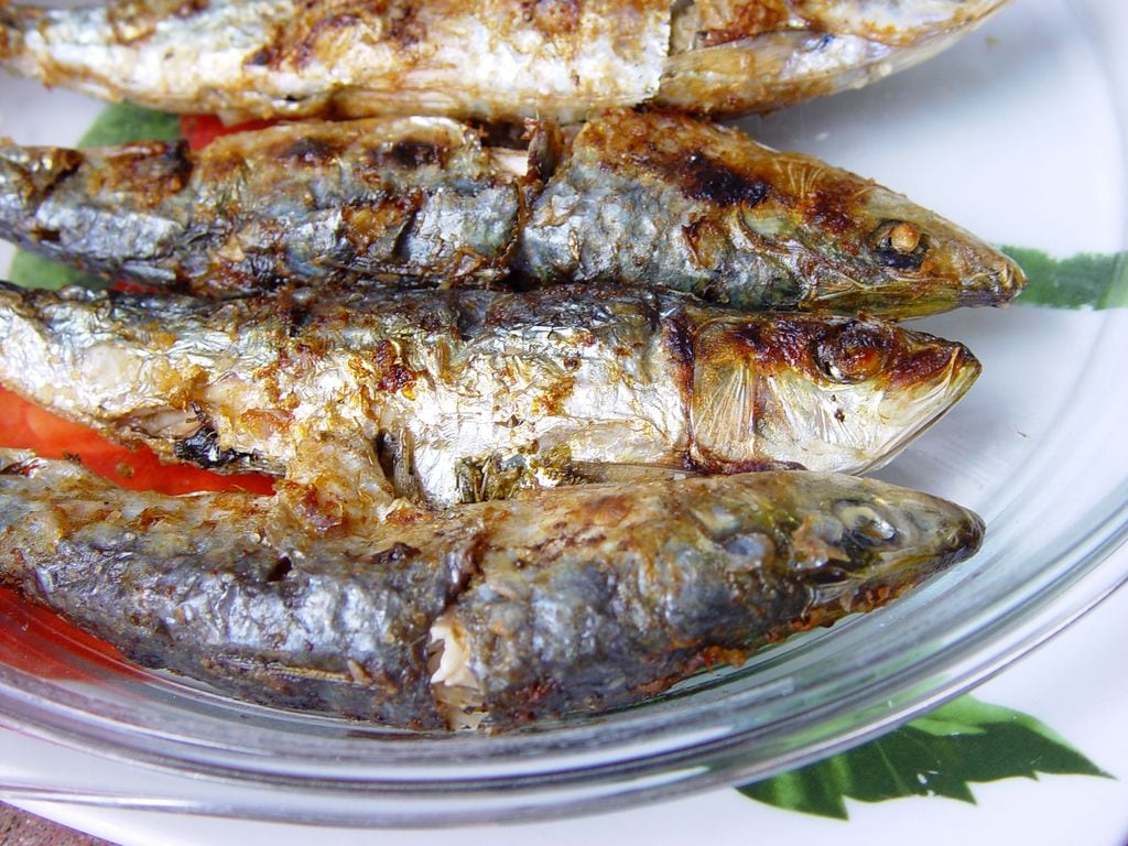 El pescado azul, desde un punto de vista saludable, destaca por su contenido en ácidos omega 3, que ayudan a mantener una buena salud cardiovascular y a reducir el colesterol.      