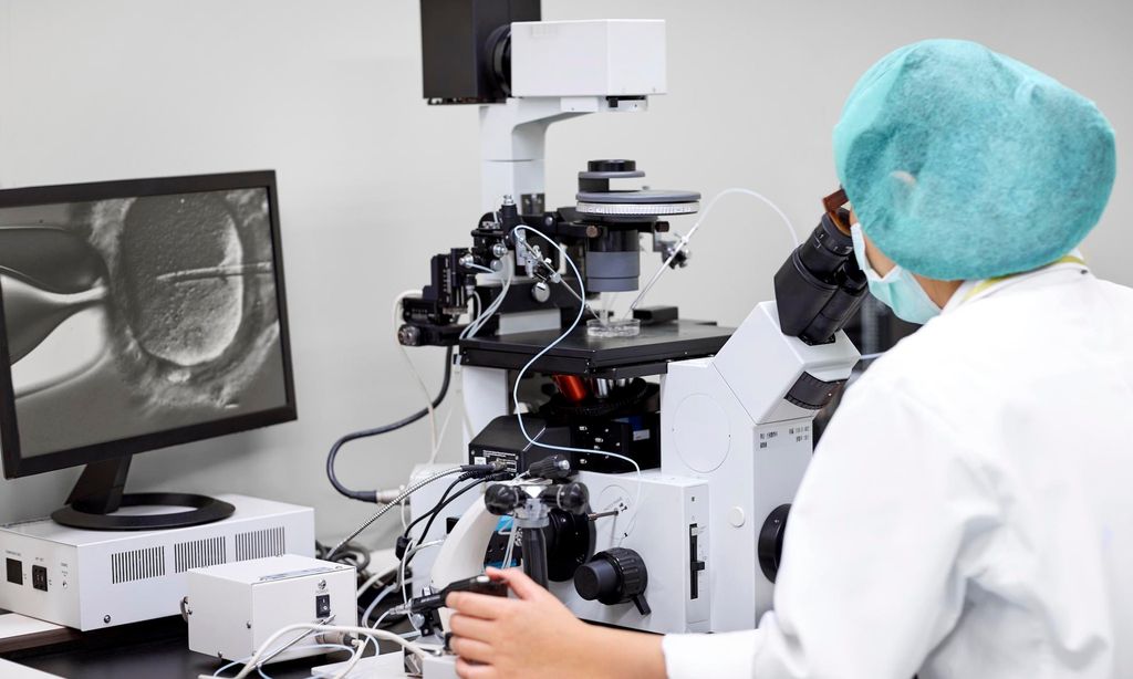 Fecundación in vitro