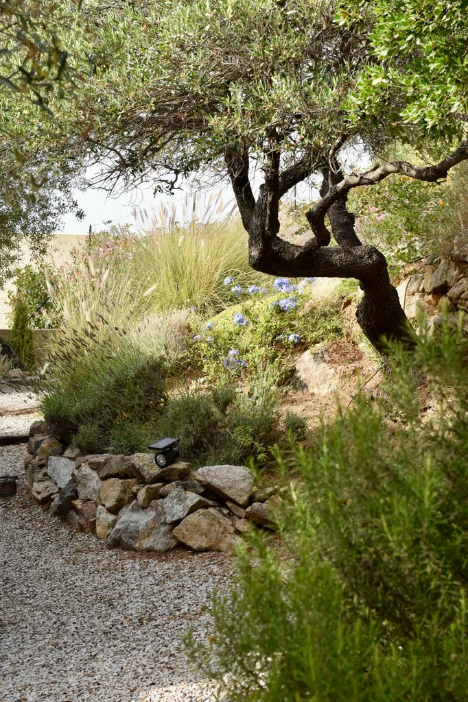 Jardín naturalista