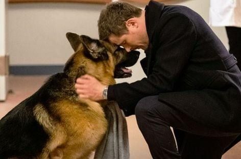 Charlie Hudson (John Reardon) forma equipo con un perro llamado Rex, un pastor alemán altamente entrenado para cumplir la ley