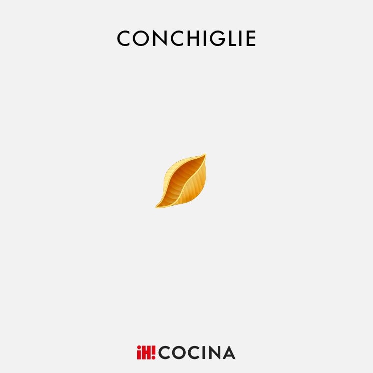 conchiglie-pasta-corta