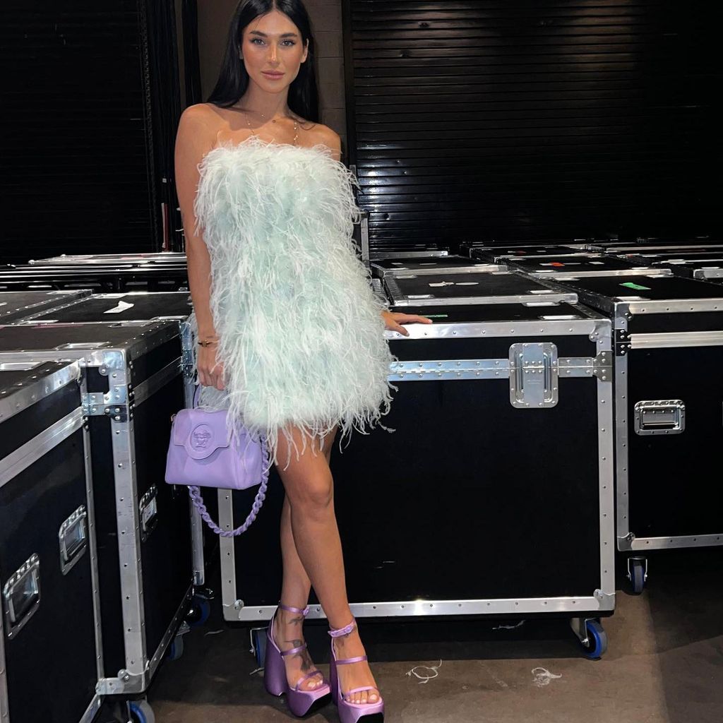 karla laveaga novia de alejandro fern ndez