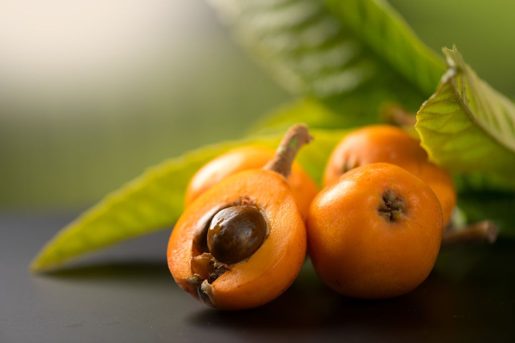 Los nísperos es una de las frutas que nos regala la primavera.