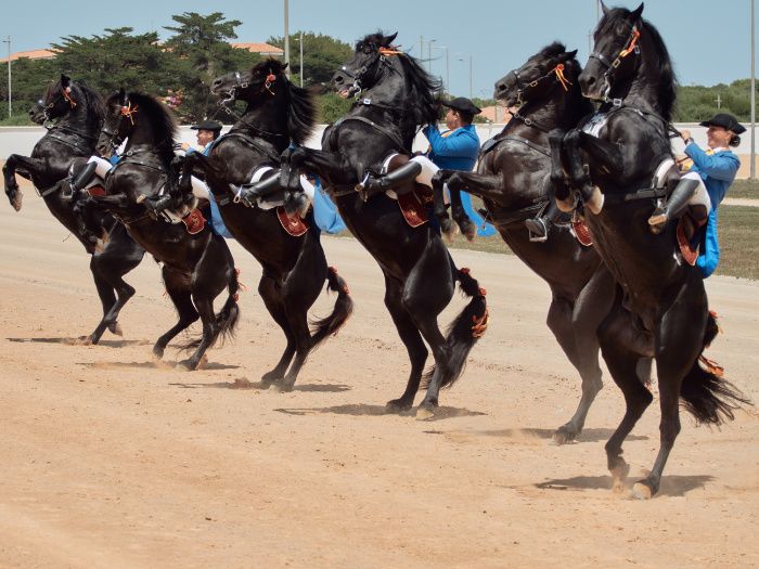Hats&Horses Menorca