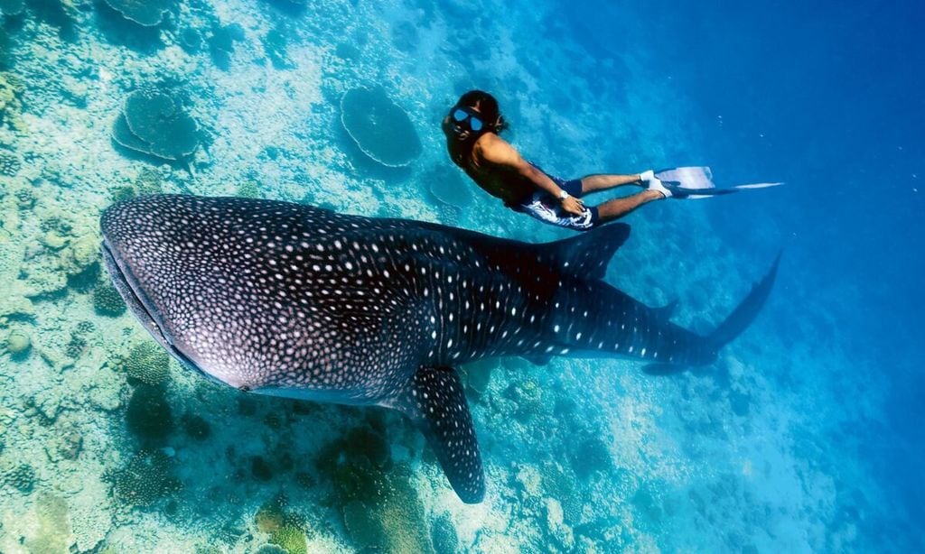 ¡HOLA! Viajes sueños cumplidos