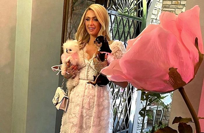Despedida de soltera de Paris Hilton