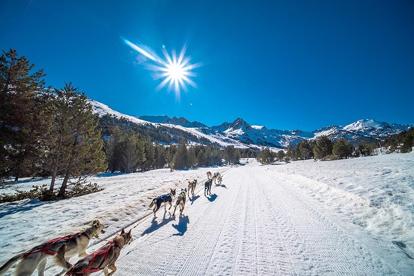 Trineos de perros en la nieve en Grandvalira 