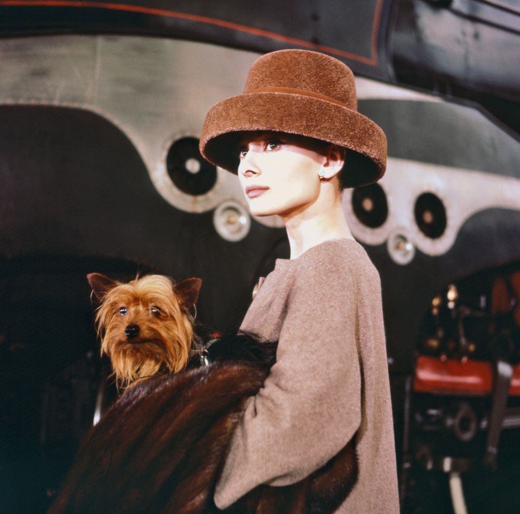  Audrey Hepburn 