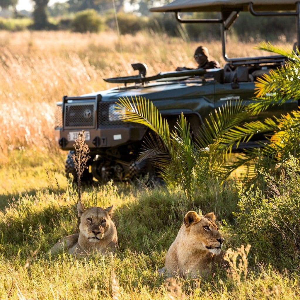 Botswana ¡HOLA! Viajes