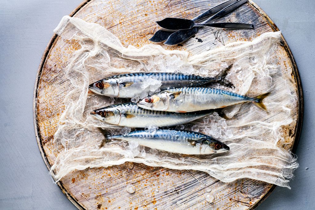 Caballas, pescado azul de temporada