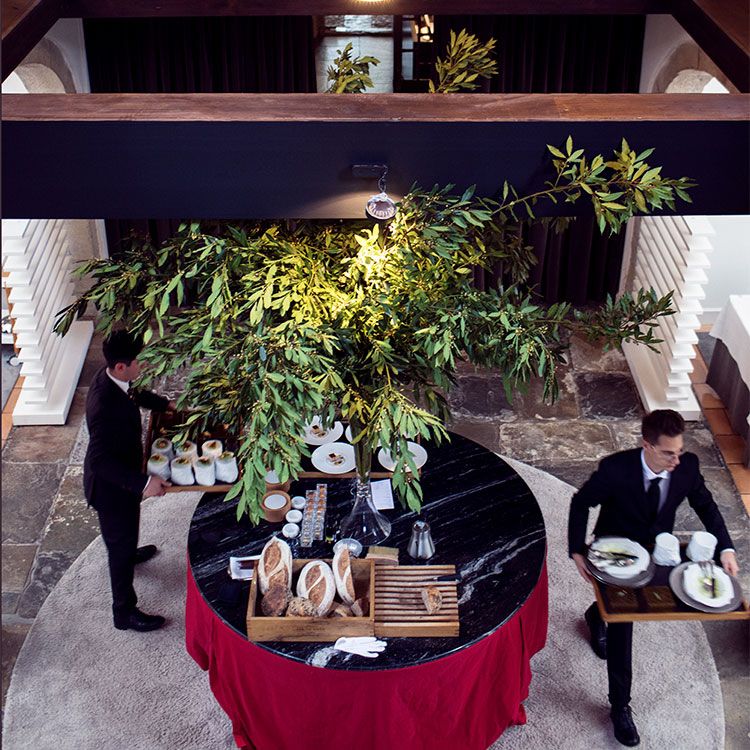 comedor