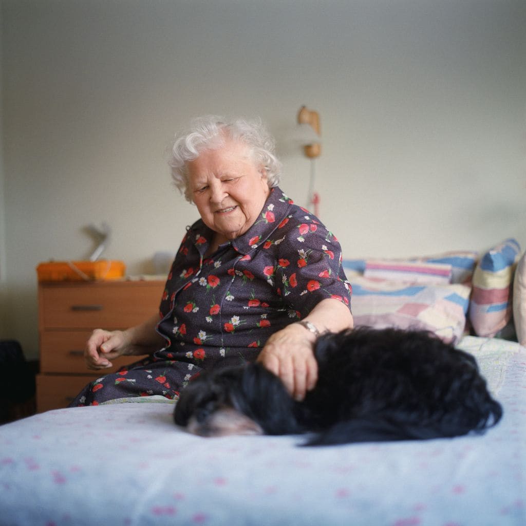 Muchos expertos recomiendan valorar la adopción de perros adultos o mayores, ideales para personas con rutinas calmadas