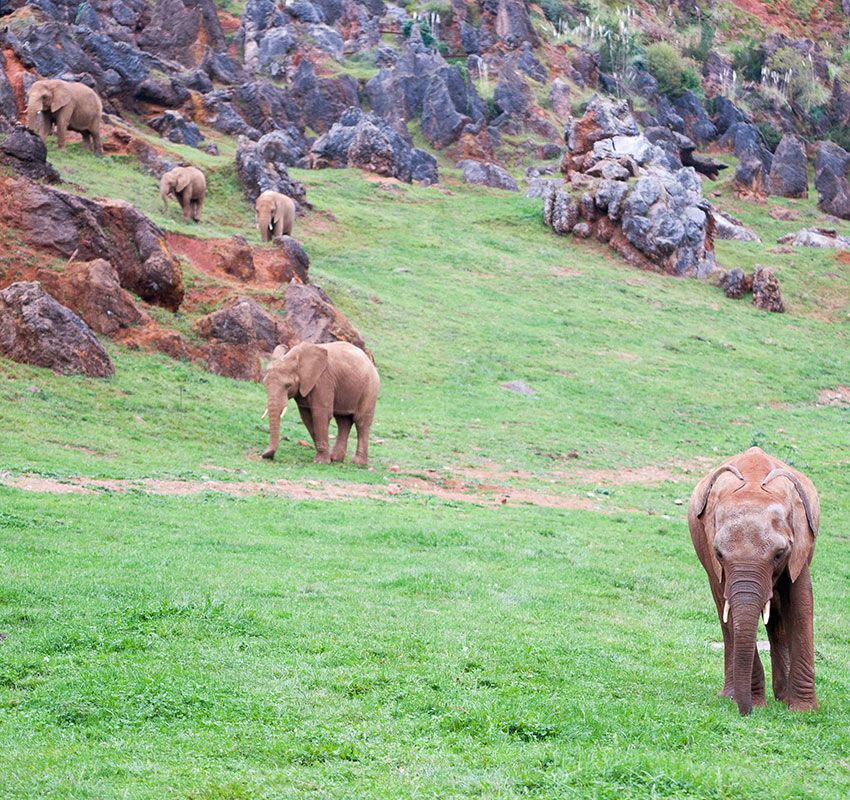 Parque de la Naturaleza de Cabárceno, Cantabria