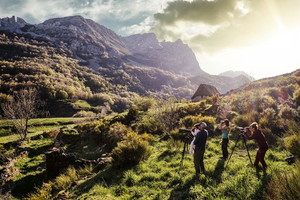 Avistando osos en el Parque Natural de Somiedo, Asturias