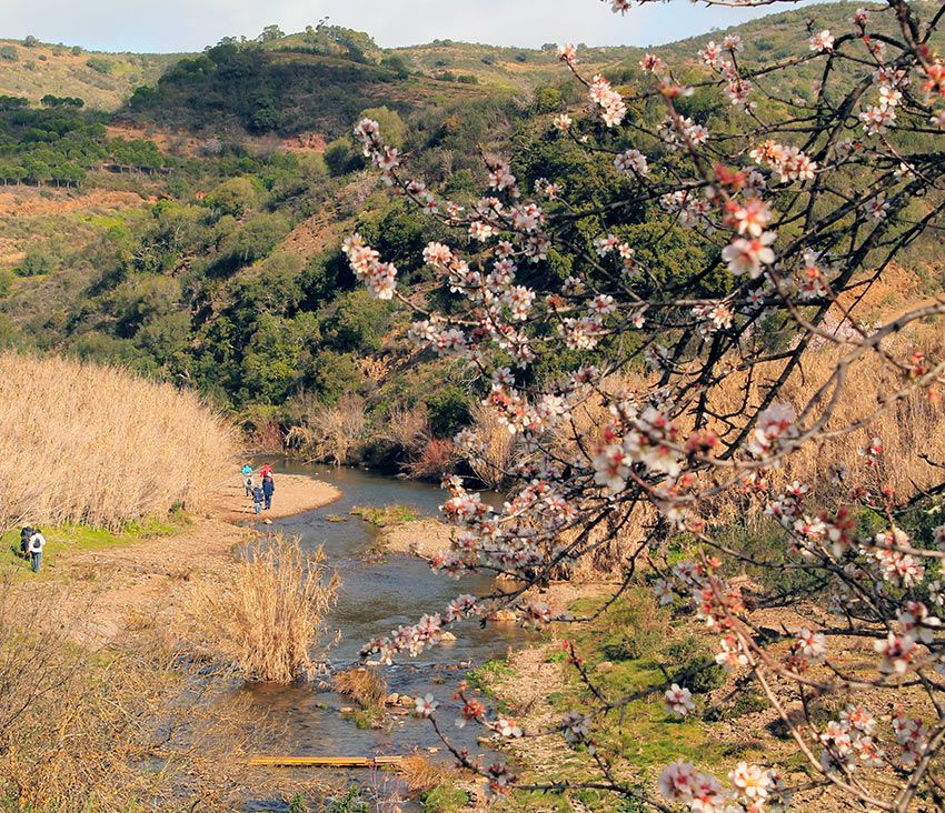 rutas-almendros