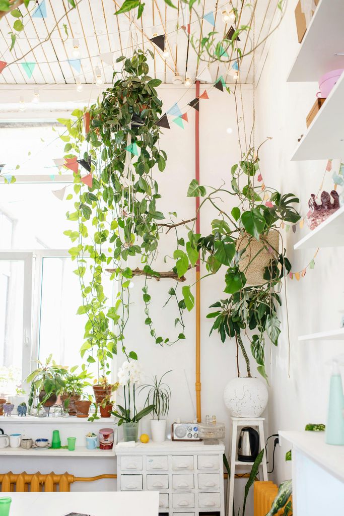 Hermoso 'garden room' en un espacio en el que domina el blanco, con las plantas ofreciendo el toque verde
