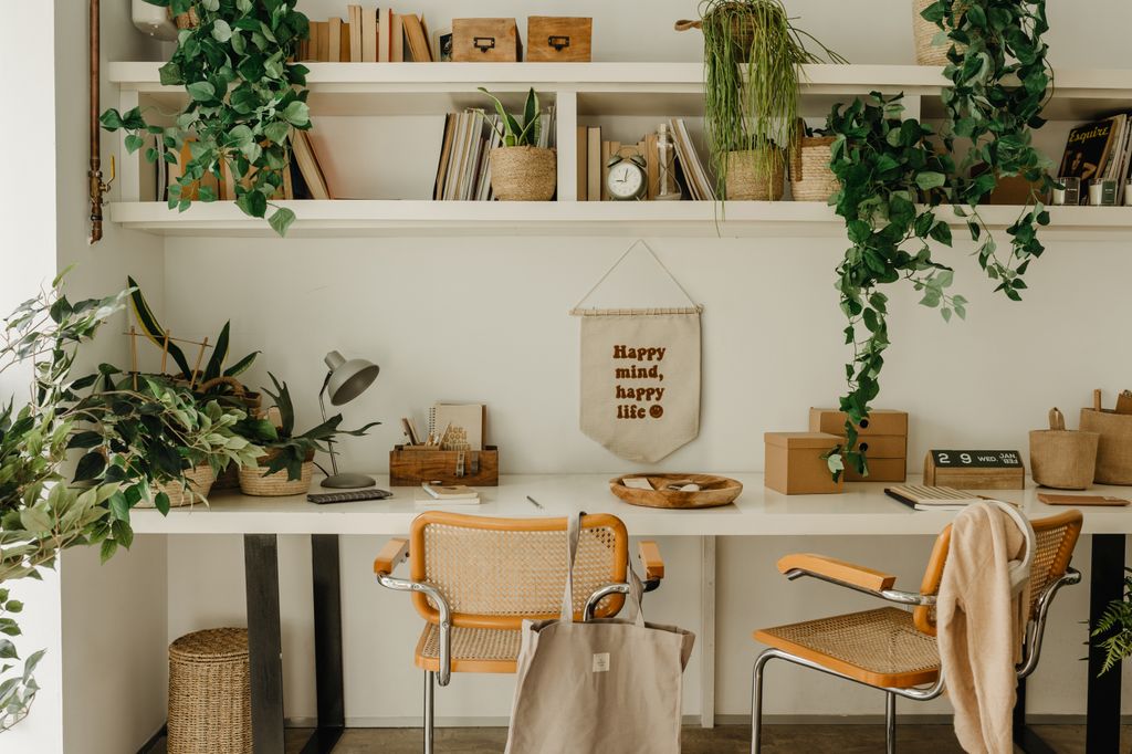 Escritorio con plantas.  