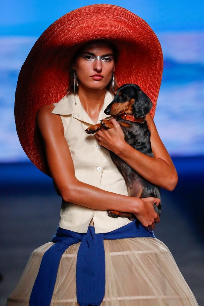 Cómo los perros están conquistando la industria de la moda