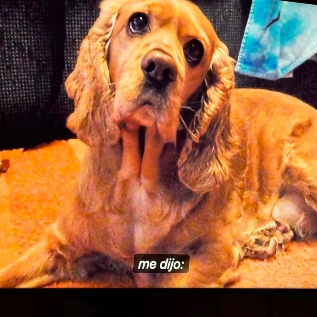 Pretzel, el amado perrito de Joy Huerta