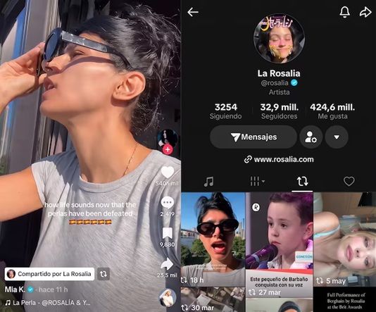 Rosalía reposteó un video sin imaginar que le costaría duras críticas. 