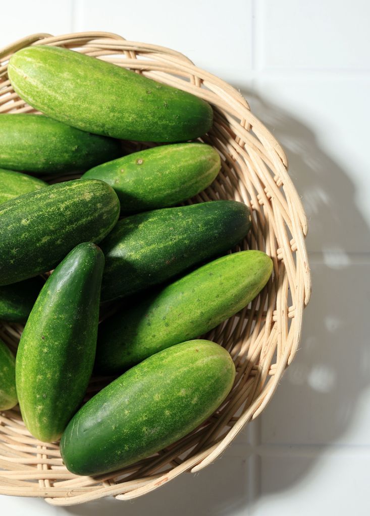 Pepinos, uno de los vegetales más refrescantes e ideales para combatir las altas temperaturas.