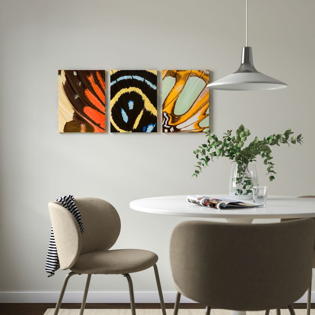 Pared decorada con cuadros con estampado de alas de mariposas