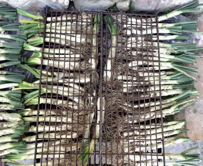vynals_calcots_