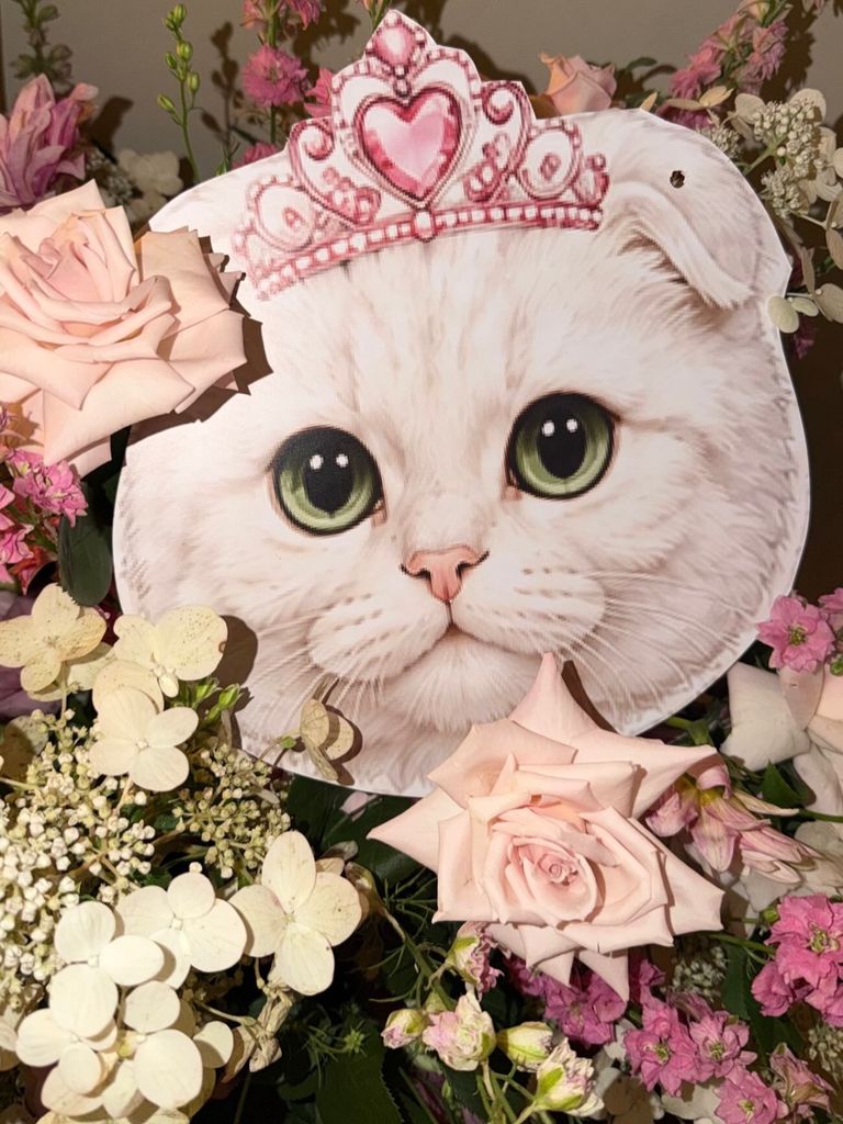Una fiesta "Princess Kitty" como concepto