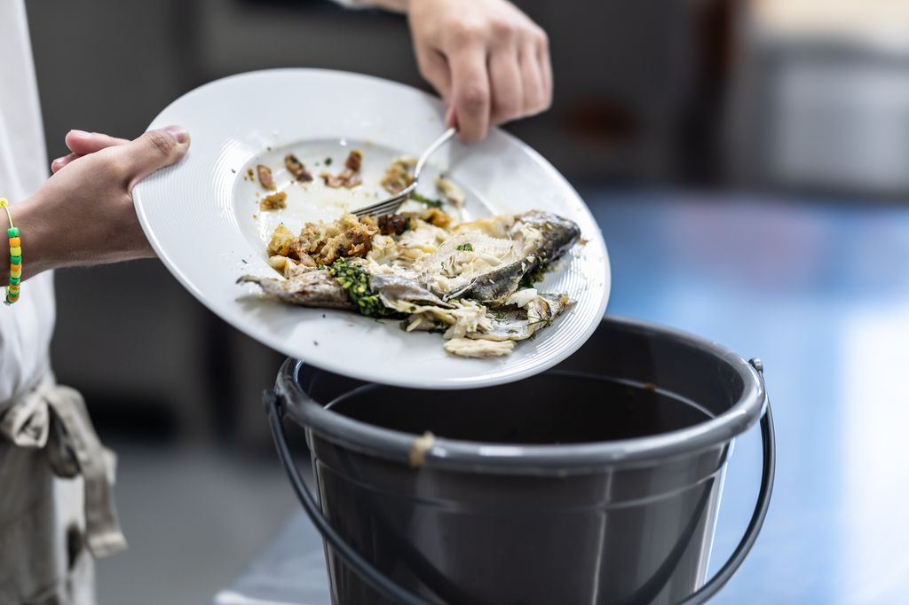 España desperdicia más de 1.300 millones de kilos de alimentos al año, una cifra que la nueva normativa intenta reducir drásticamente