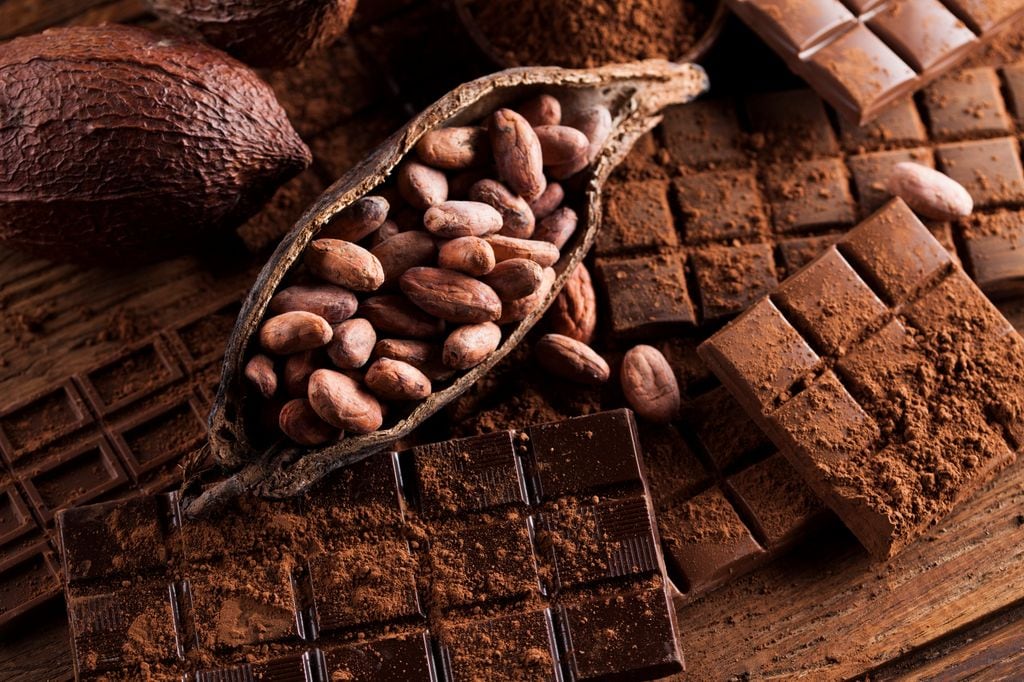 El cacao es originario de América, específicamente de la región amazónica, desde donde se difundió a otras partes del continente y posteriormente fue introducido en Europa.