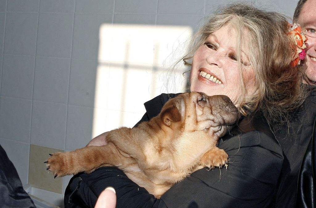 Brigitte Bardot visita un centro de protección animal en Niza