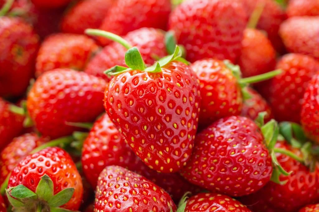 Fresas