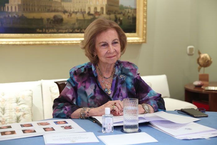 Reina Sofía videoconferencia