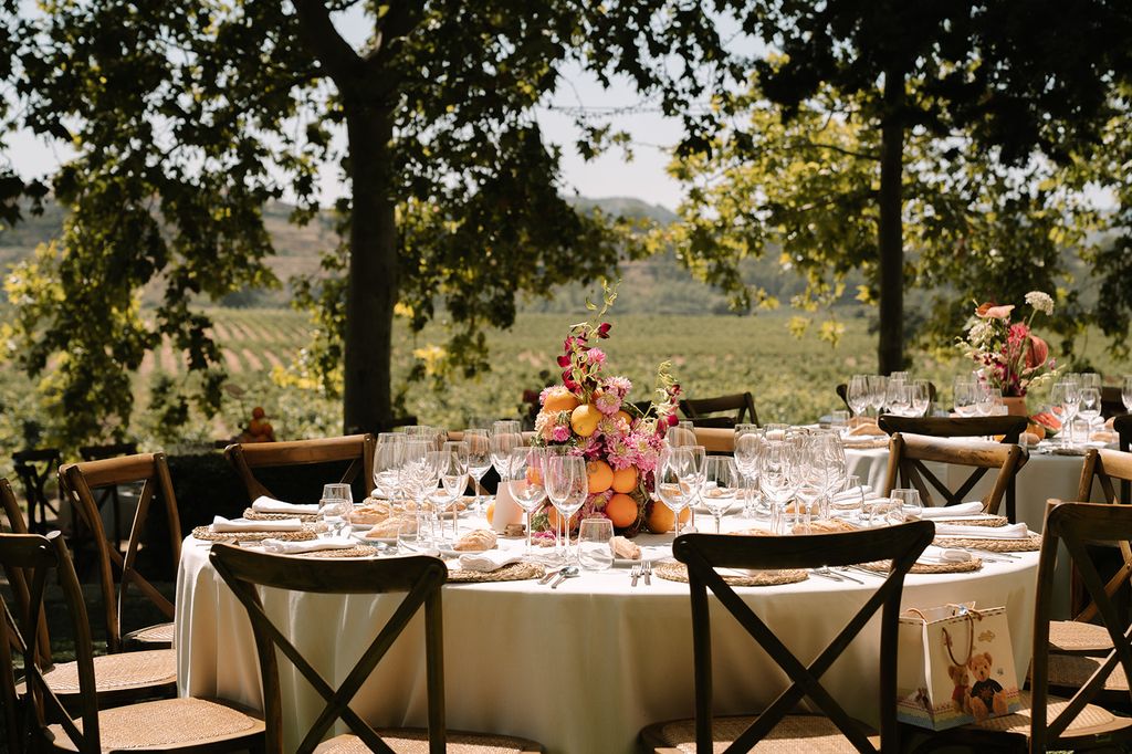 Bodegas Viñedos Contino