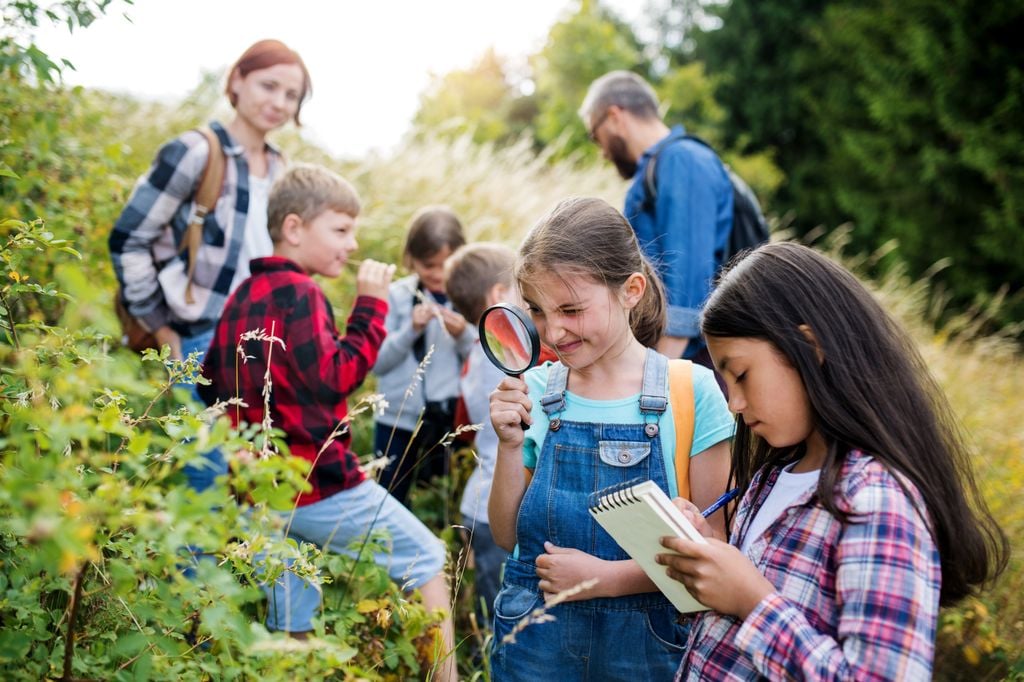 Niños con una lupa investigando en la naturaleza 