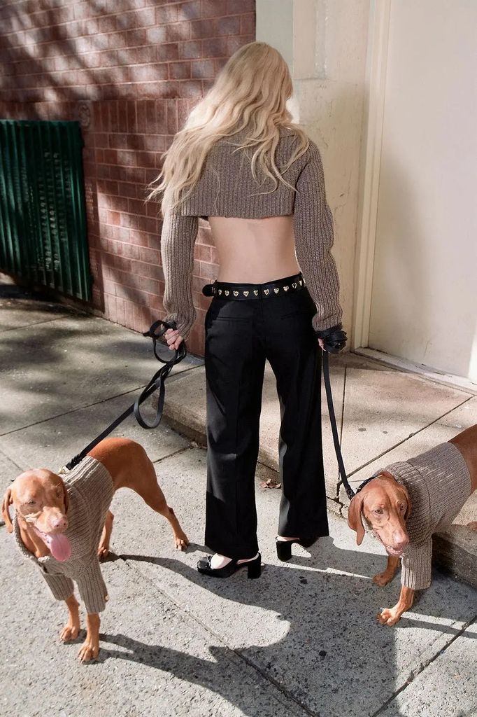 Cómo los perros están conquistando la industria de la moda