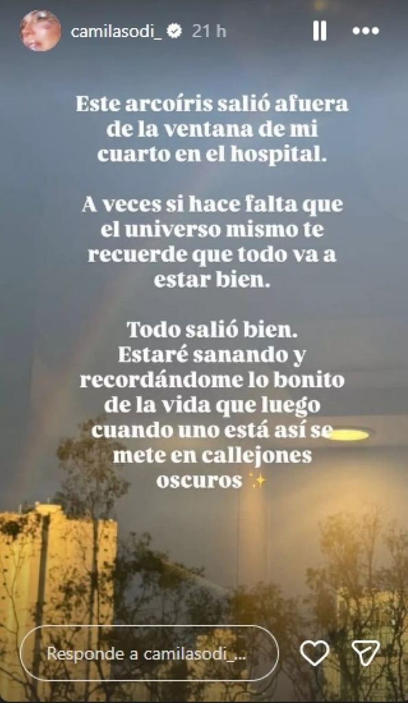 Camila Sodi reveló a través de su Instagram su hospitalización.