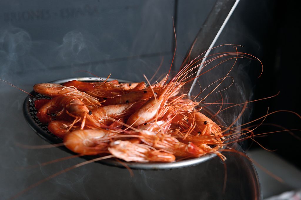 Camarón gallego recién cocido
