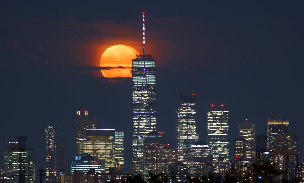 Luna del Ciervo 