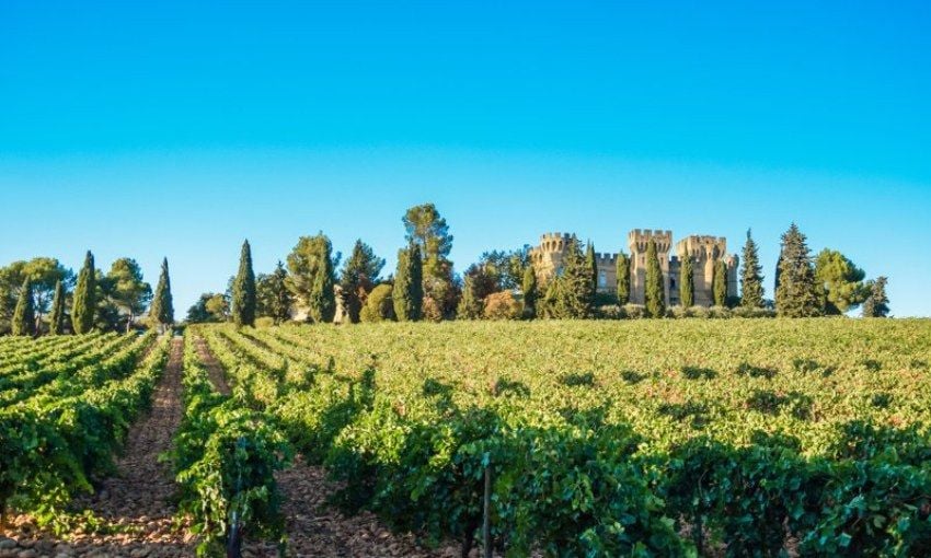 Localidad de Châteauneuf-du-Pape y castillo frente a los viñedos, Francia