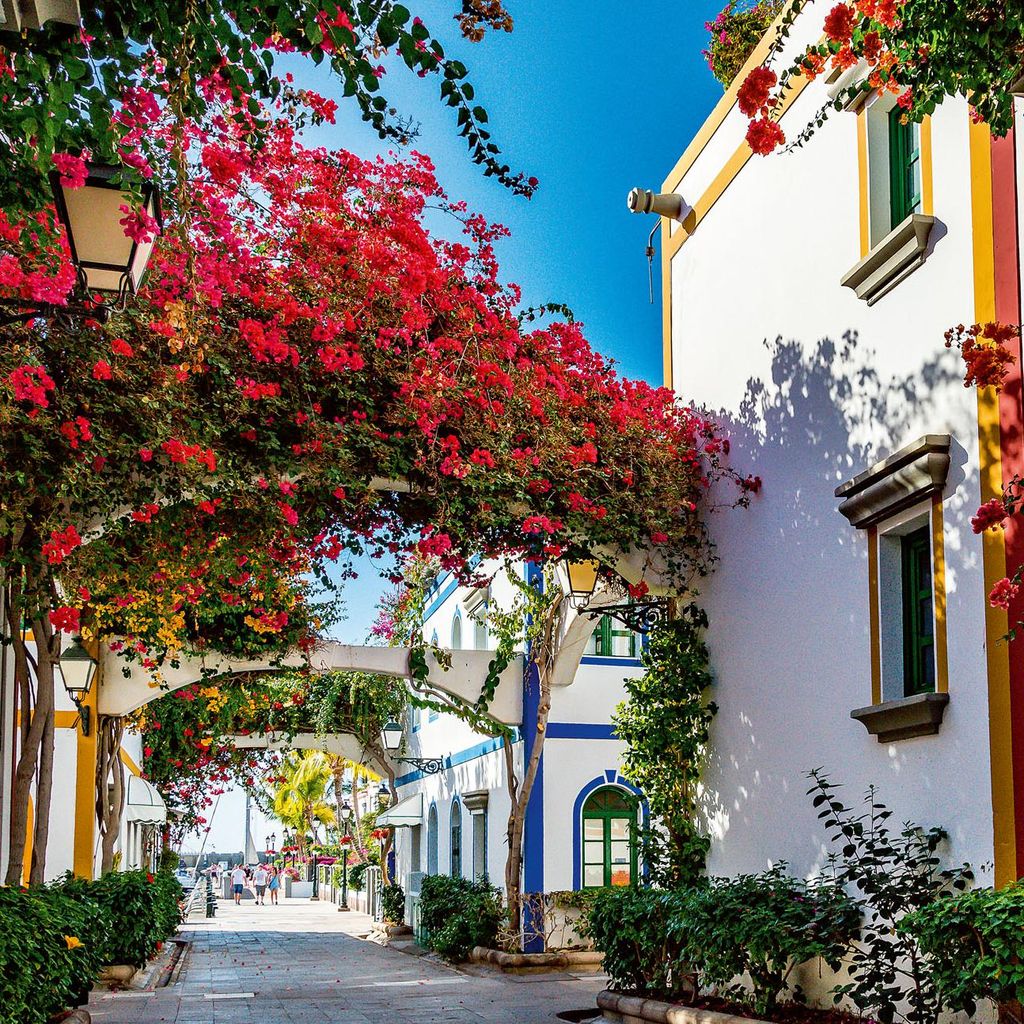 Puerto de Mogán VIAJES2124