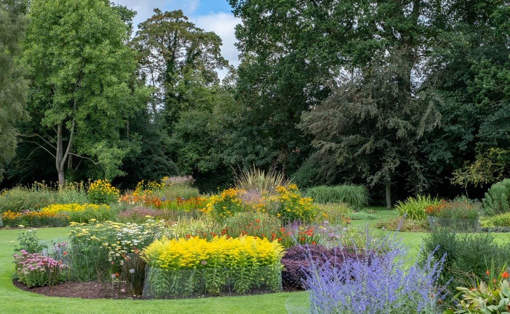 Jardín con flores