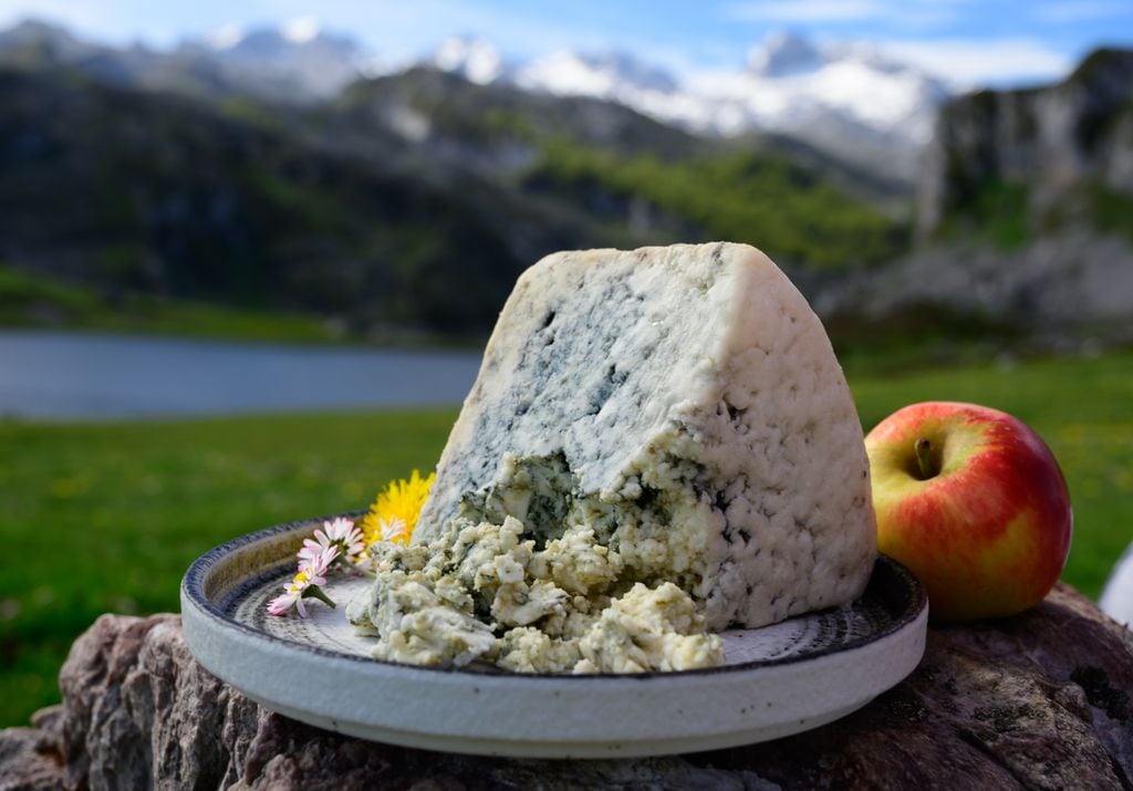 Asturias es un paraíso para los más queseros y quizás el más reconocido sea el Cabrales, una variedad de queso azul.