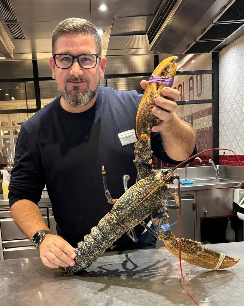 Dani García celebra la Navidad en torno a los platos más clásicos: jamón, marisco cocido y cordero asado con una ensalada de lechuga.