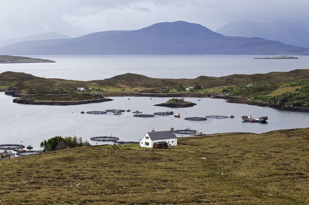 Vista de Tanera Mor, la única habitada de las seis Summer Isles.