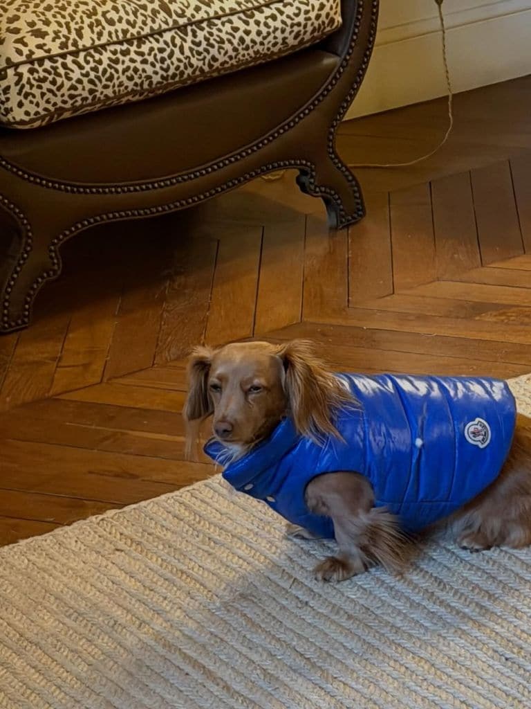 Alejandra de Hannover con su mascota.