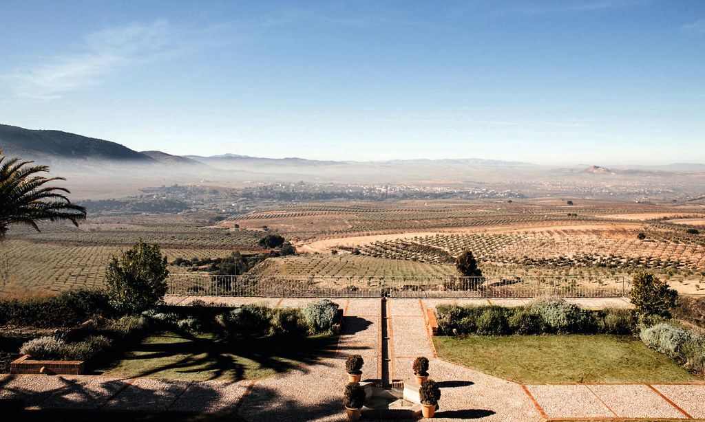Paisaje LIVING 30