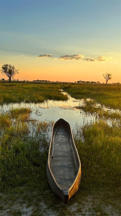 Espectacular imagen del viaje por África